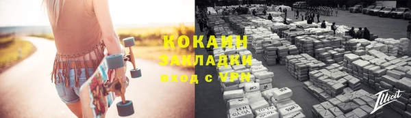 МДПВ Вяземский