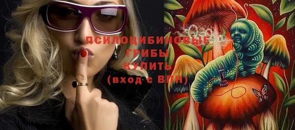 МДПВ Вяземский
