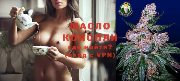 МДПВ Вяземский