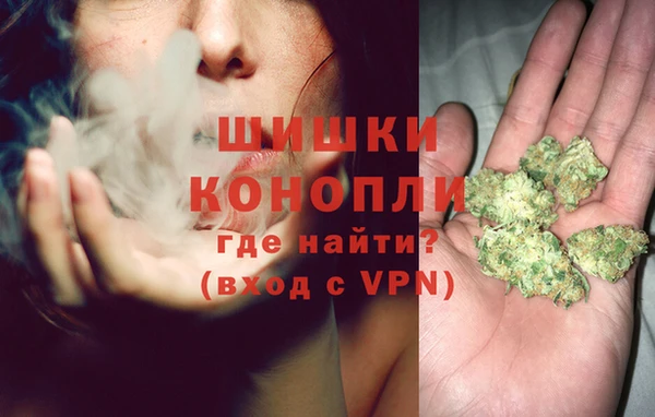 МДПВ Вяземский