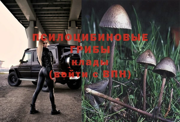 МДПВ Вяземский