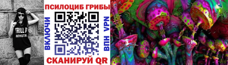 Псилоцибиновые грибы ЛСД Салехард